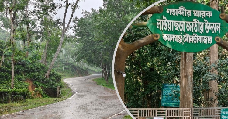ঈদের ছুটিতে ঘুরতে পারেন মৌলভীবাজারের ৮ স্পট