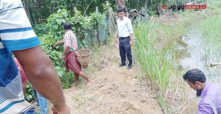 বনভূমি দখল করে মাল্টা-আনারস চাষ, উদ্ধার ৫ একর ভূমি