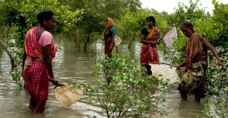 মুণ্ডা সম্প্রদায়ের জীবনচিত্র দেখতে ঘুরে আসুন