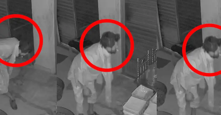 মুন্সিগঞ্জে গভীর রাতে দুর্ধর্ষ চুরি