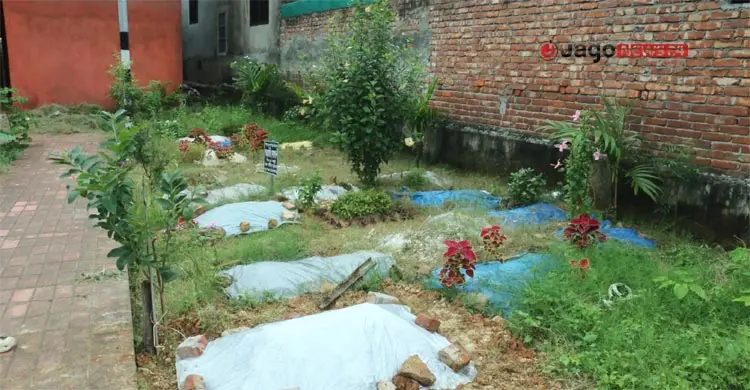 মুরাদপুর কবরস্থান/ছবি: বিপ্লব দিক্ষীৎ