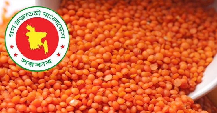 টিসিবির জন্য ১০ হাজার টন মসুর ডাল কিনছে সরকার