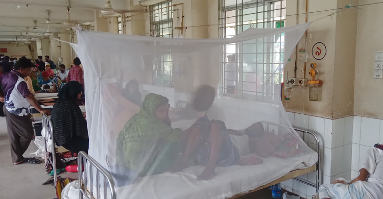 ময়মনসিংহ মেডিকেলে ডেঙ্গু রোগীর মৃত্যু