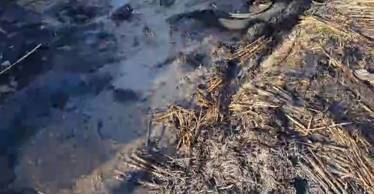 বাস ভাংচুরের ঘটনায় মামলা, আসামি বিএনপির ২০ নেতাকর্মী