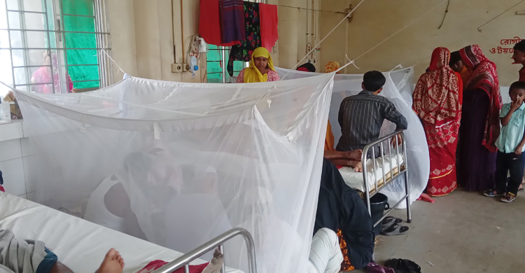 ময়মনসিংহ মেডিকেলে ডেঙ্গু রোগীর মৃত্যু