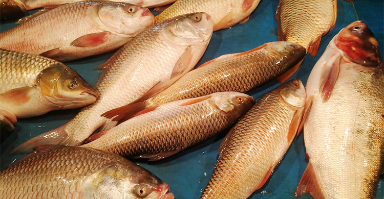 কেজিতে ১০ থেকে ৪০ টাকা পর্যন্ত কমেছে সবজির দাম