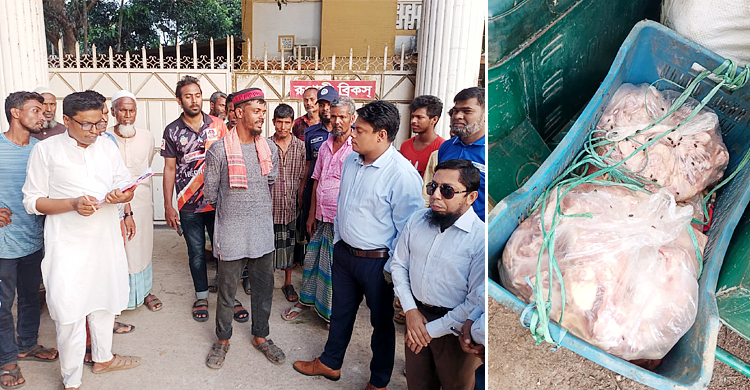 বিক্রির সময় জব্দ ৮০ কেজি মরা ব্রয়লার মুরগির মাংস