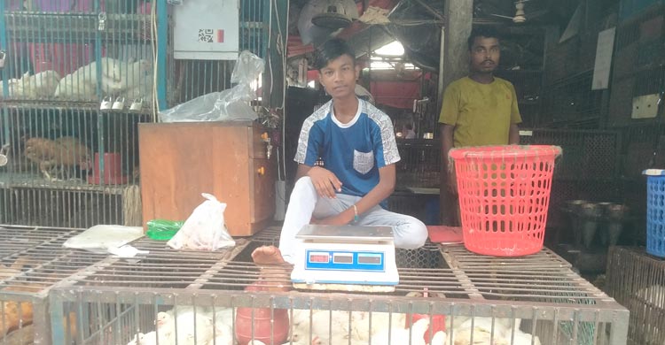 ময়মনসিংহের বাজারে সবজির সরবরাহ থাকলেও দাম বাড়তি