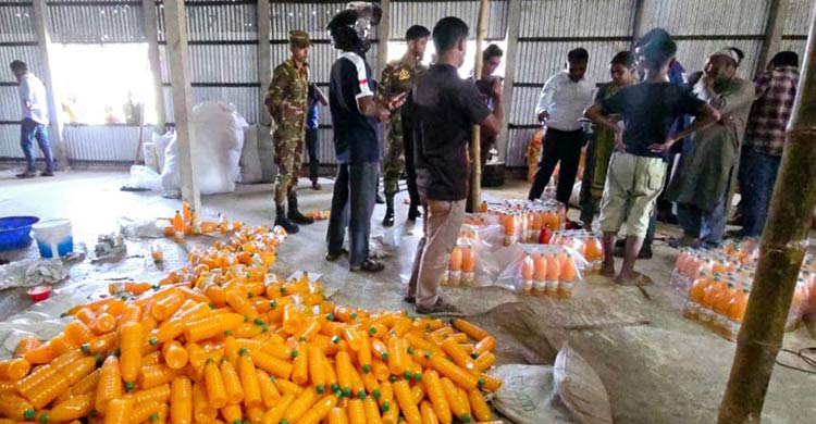 আম ছাড়াই আমের জুস, কারখানা মালিকের তিন মাসের কারাদণ্ড