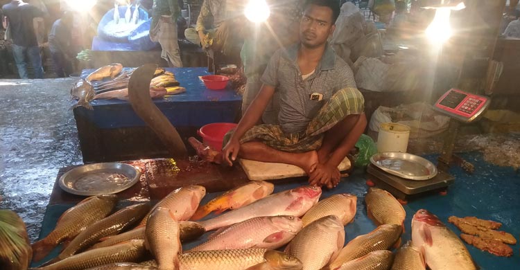 ময়মনসিংহে কমেছে সবজির দাম, চড়া মাছের বাজার