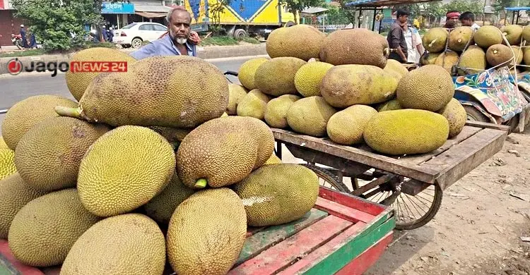 ময়মনসিংহে নেই প্রসেসিং সেন্টার, নষ্ট হচ্ছে কাঁঠাল