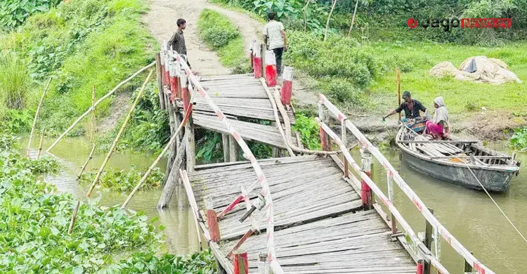 যাতায়াতের একমাত্র সাঁকোটি ভাঙা, সীমাহীন দুর্ভোগে কয়েকশ পরিবার