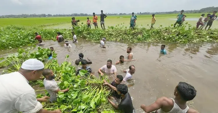জলাবদ্ধতা নিরসনে পানিতে নেমে খাল পরিষ্কার করলেন এমপি