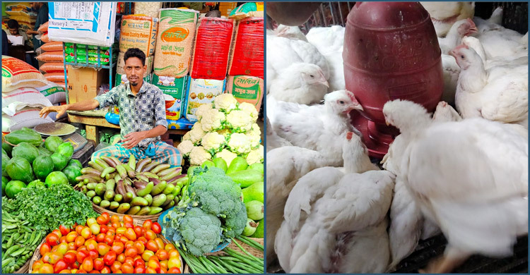 ময়মনসিংহে সবজিতে স্বস্তি, বেড়েছে মুরগির দাম