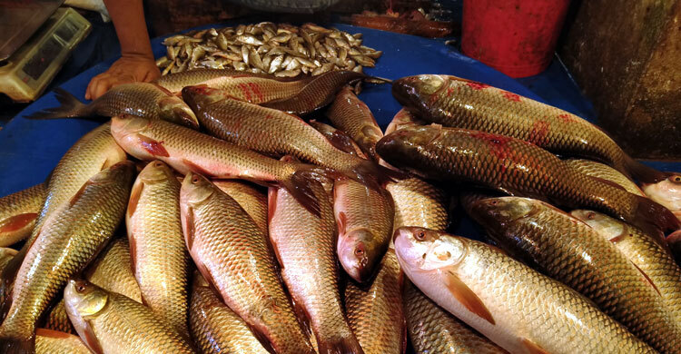 ময়মনসিংহে বেড়েছে মাছের দাম