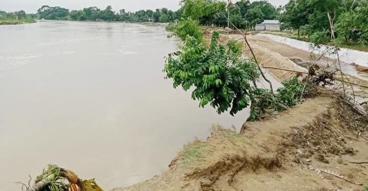 ভারতীয় সীমান্তঘেঁষা ময়মনসিংহের ধোবাউড়ায় উজান থেকে নেমে আসা পাহাড়ি ঢল আর বৃষ্টিতে আকস্মিক বন্যার আশঙ্কা দেখা দিয়েছে