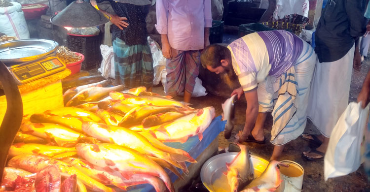 ময়মনসিংহে মাছের দামে ক্ষুব্ধ ক্রেতা