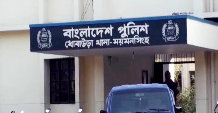 সাঁকো থেকে খালে পড়ে প্রাণ গেলো দুই ভাইয়ের