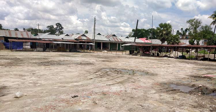 ব্যাংক ঋণে বাধা, ট্যানারি মালিকদের সিন্ডিকেটে তছনছ চামড়ার বাজার