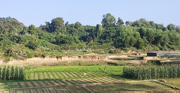 অনুপ্রবেশ ঠেকাতে নজর রাখছে বাংলাদেশ