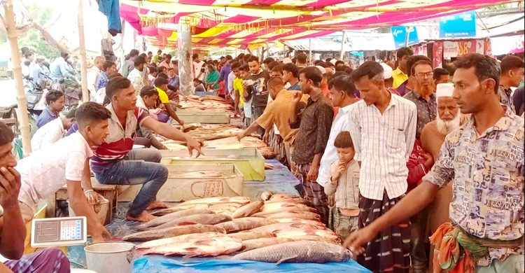 নবান্ন উৎসবে বগুড়ায় জমে ওঠে মাছের মেলা