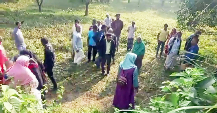 নাটোরে আম বাগানে মিললো নার্সের গলাকাটা মরদেহ