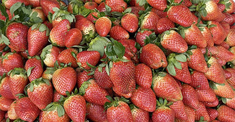 নওগাঁয় ফলের বাজারে আগুন, দাম শুনে খালি হাতে ফিরছেন নিম্ন আয়ের মানুষ