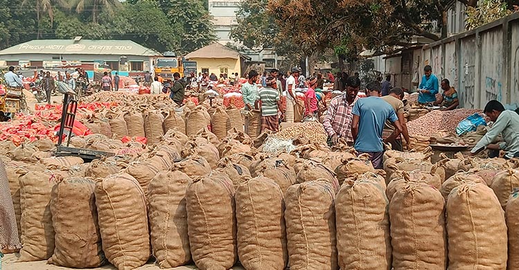 নওগাঁয় আলুর দামে ধস, পথে বসার উপক্রম কৃষকদের