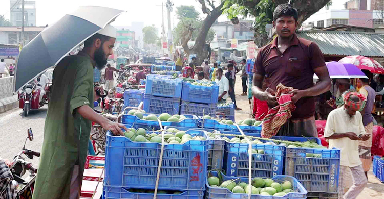 ক্রেতা-বিক্রেতায় মুখরিত সাপাহার আম বাজার
