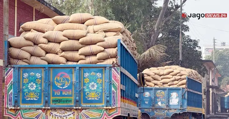 ধান-চালের বাজারে ধস, ‘ইন্টেরিম’কে দুষছেন কৃষক-ব্যবসায়ীরা