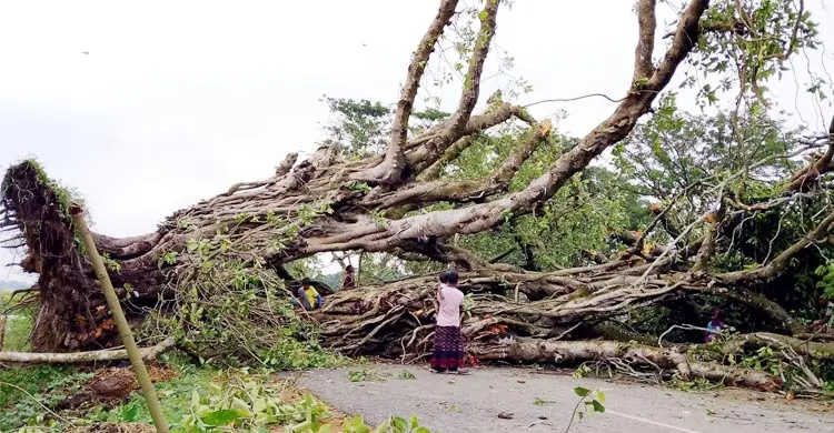 নওগাঁয় ঝড়ে লন্ডভন্ড ঘরবাড়ি, বিদ্যুৎ বিচ্ছিন্ন বিভিন্ন এলাকা