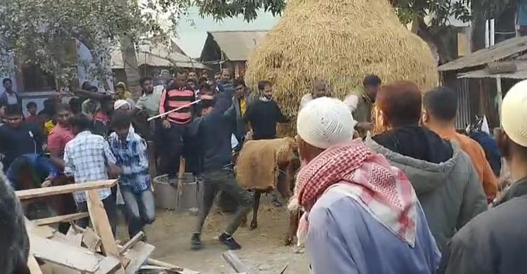 নওগাঁয় বিএনপি-জামায়াত সংঘর্ষে আহত ১০