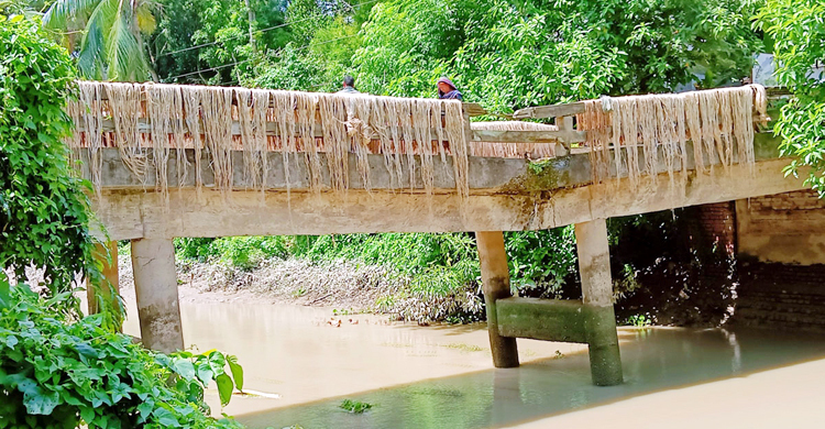 পিলার দেবে ব্রিজে ফাটল, ঝুঁকি জেনেও চলছে ৮ গ্রামের মানুষ
