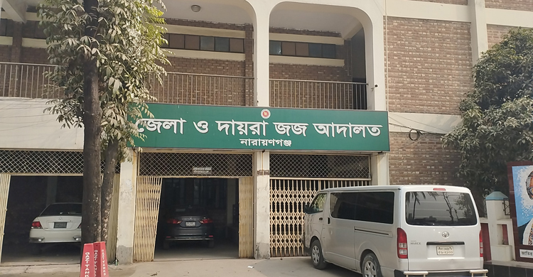 বল্লমের আঘাতে ভাইকে হত্যা, ছোট ভাইয়ের যাবজ্জীবন