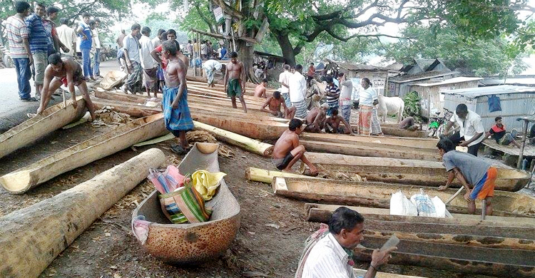 ডুঙ্গায় চড়ে জীবন চলে বিল পাড়ের মানুষের