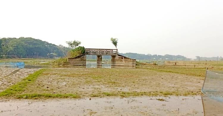 বিলের মাঝে ২০ লাখ টাকার ‘ভুতুড়ে’ সেতু, ১০ বছরেও জোটেনি সংযোগ সড়ক