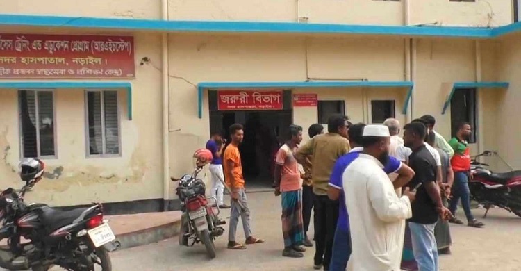 ফল কেনাবেচা করে চলা বিধবা মা মারা গেলেন গাছ থেকে পড়ে