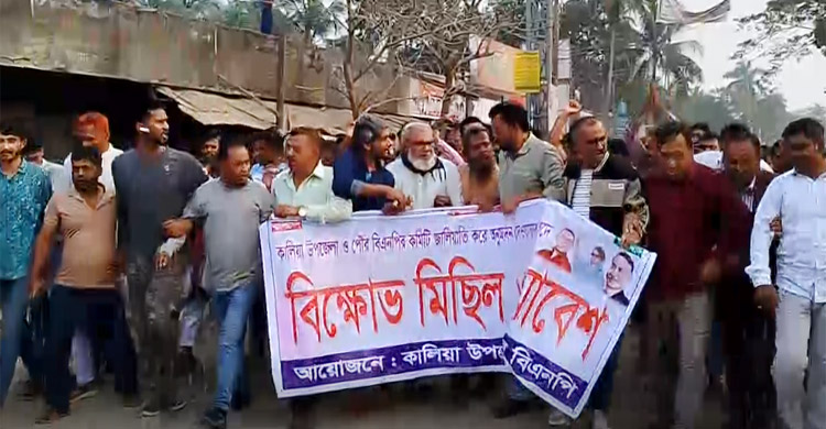 বিএনপির কমিটিতে আওয়ামী লীগ নেতাদের পদ দেওয়ার অভিযোগ