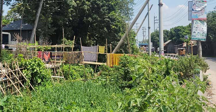 ৪০০ বছরের হরিগঞ্জ খাল এখন সরু নালা