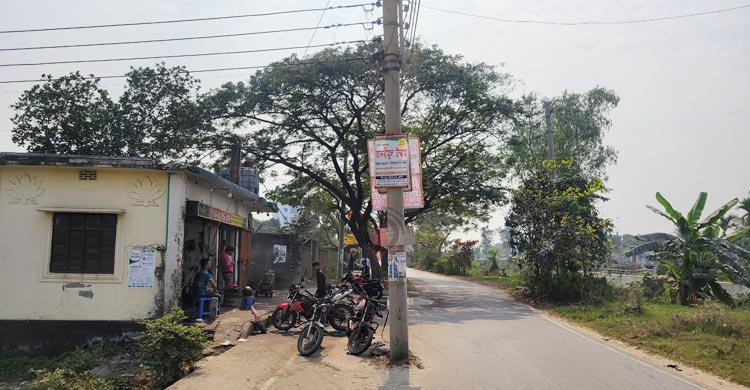 সড়কের বাধা বৈদ্যুতিক খুঁটি