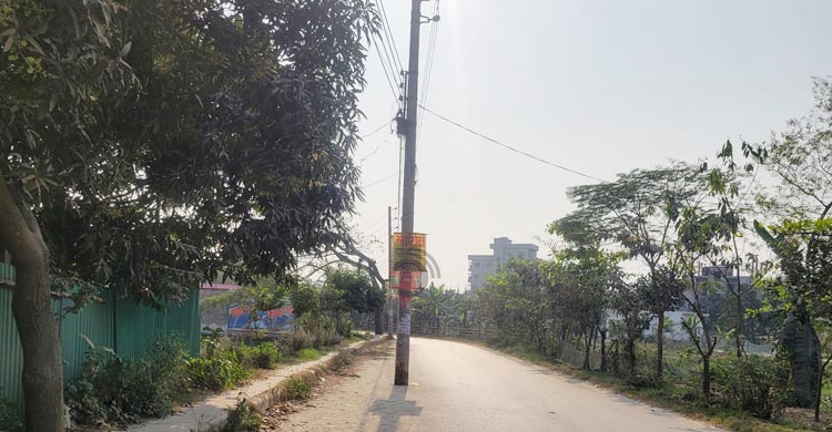 সড়কের বাধা বৈদ্যুতিক খুঁটি