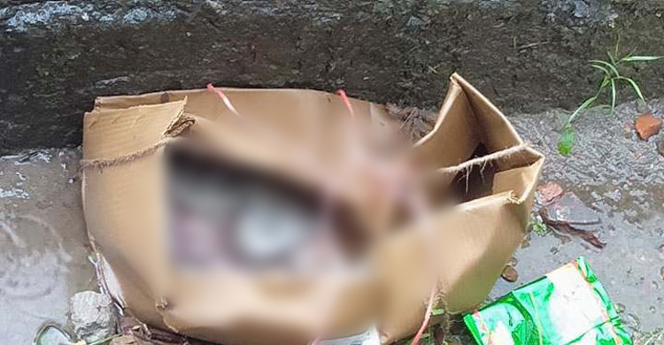কার্টনে মিললো নবজাতকের মরদেহ