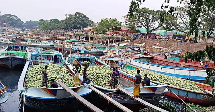 কথা কাটাকাটির জেরে হাবিপ্রবিতে মারামারি, আহত ৮ শিক্ষার্থী