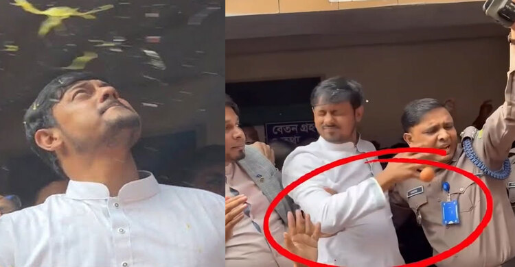 নাসিরুদ্দিন পাটোয়ারীর উপর আবারো উপর ডিম নিক্ষেপ