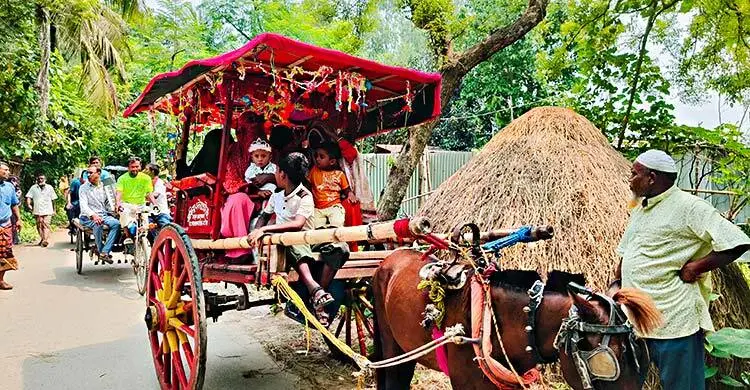 নাতি হওয়ার খুশিতে ঘোড়ার গাড়ি নিয়ে নানার মিষ্টি বিতরণ