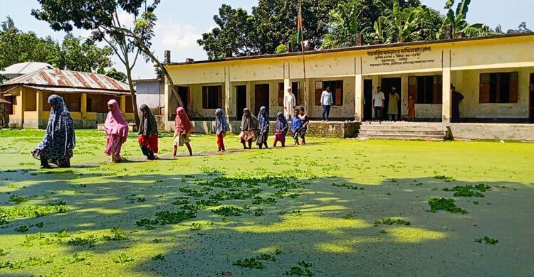 মাদরাসার মাঠে জলাবদ্ধতা, পানি মাড়িয়ে করতে হয় ক্লাস