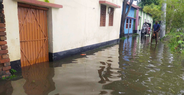 ভারী বৃষ্টিপাতে নাটোরের বাড়িঘরে হাঁটুপানি