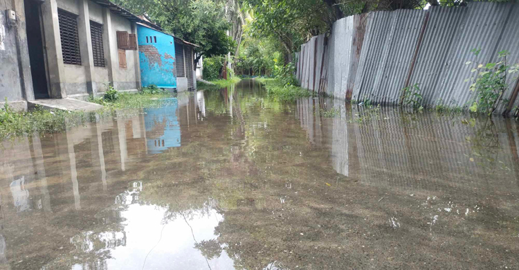 ভারী বৃষ্টিপাতে নাটোরের বাড়িঘরে হাঁটুপানি