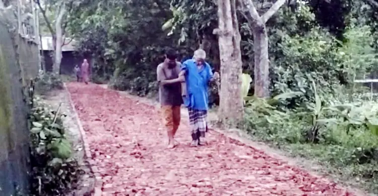 সরকারি সহায়তা না পেয়ে স্বেচ্ছাশ্রমে রাস্তা সংস্কার করলো গ্রামবাসী