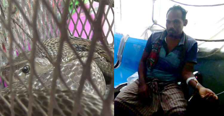 ছোবল দেওয়া সাপ নিয়ে হাসপাতালে হাজির রোগী